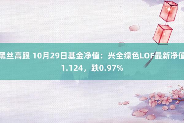 黑丝高跟 10月29日基金净值：兴全绿色LOF最新净值1.124，跌0.97%