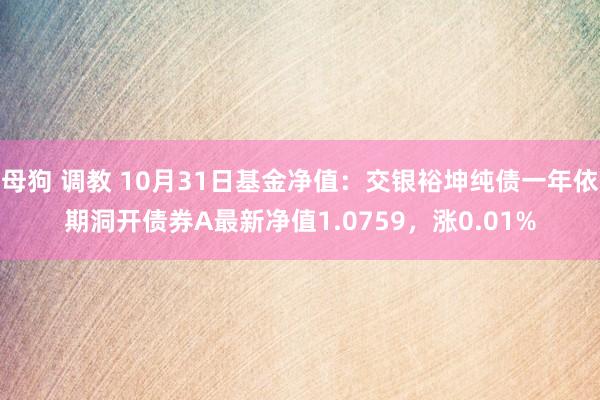 母狗 调教 10月31日基金净值：交银裕坤纯债一年依期洞开债券A最新净值1.0759，涨0.01%