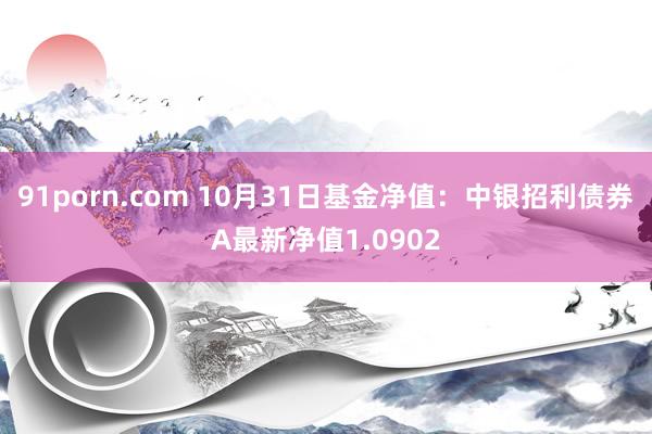 91porn.com 10月31日基金净值：中银招利债券A最新净值1.0902