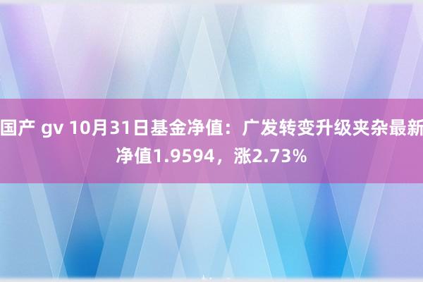 国产 gv 10月31日基金净值：广发转变升级夹杂最新净值1.9594，涨2.73%