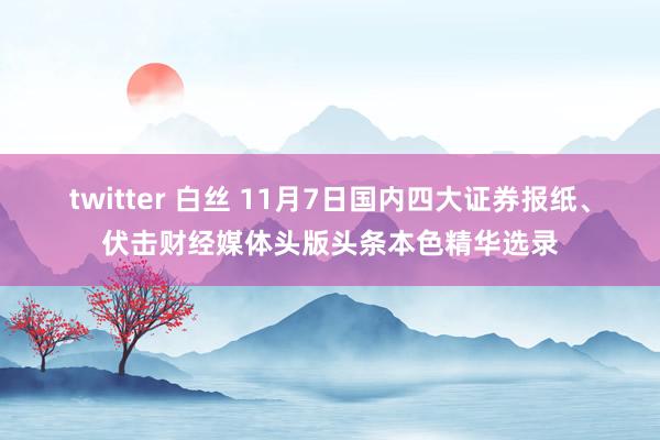 twitter 白丝 11月7日国内四大证券报纸、伏击财经媒体头版头条本色精华选录