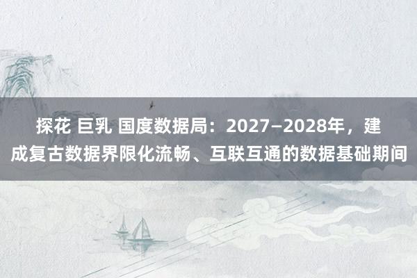 探花 巨乳 国度数据局：2027—2028年，建成复古数据界限化流畅、互联互通的数据基础期间