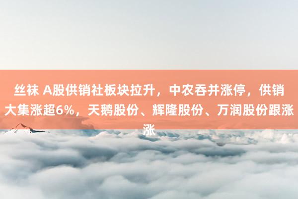 丝袜 A股供销社板块拉升，中农吞并涨停，供销大集涨超6%，天鹅股份、辉隆股份、万润股份跟涨