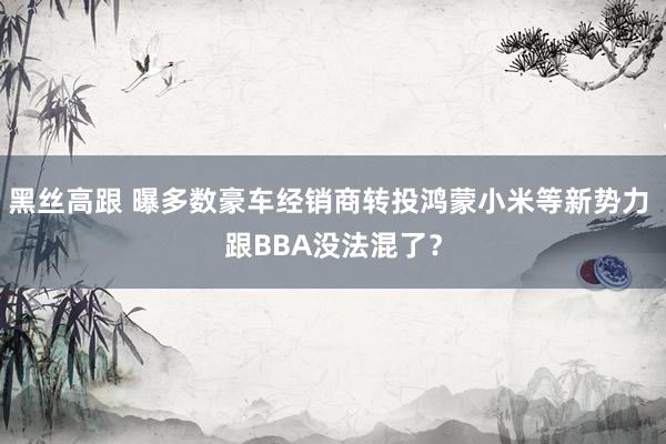 黑丝高跟 曝多数豪车经销商转投鸿蒙小米等新势力 跟BBA没法混了？