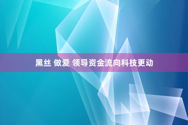 黑丝 做爱 领导资金流向科技更动