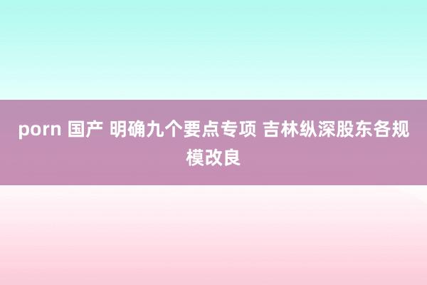 porn 国产 明确九个要点专项 吉林纵深股东各规模改良