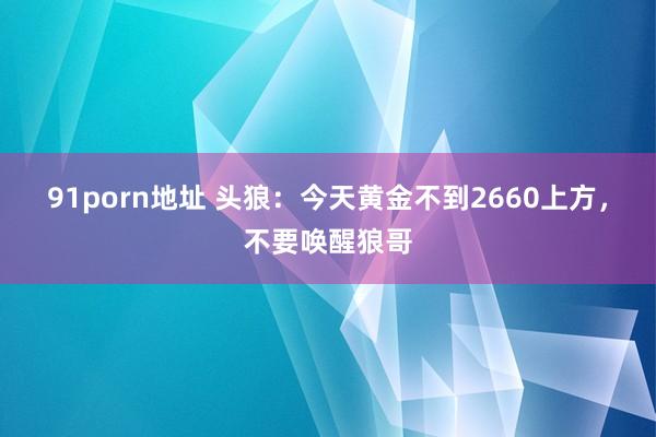 91porn地址 头狼：今天黄金不到2660上方，不要唤醒狼哥