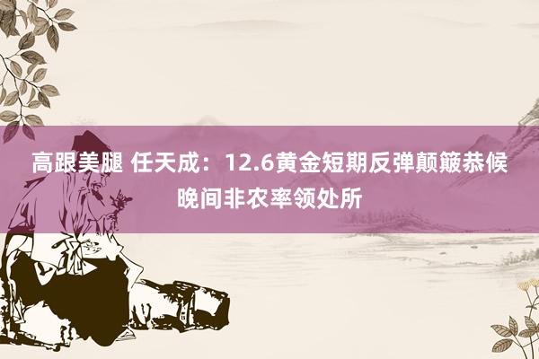 高跟美腿 任天成：12.6黄金短期反弹颠簸恭候晚间非农率领处所