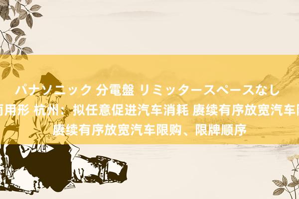 パナソニック 分電盤 リミッタースペースなし 露出・半埋込両用形 杭州：拟任意促进汽车消耗 赓续有序放宽汽车限购、限牌顺序