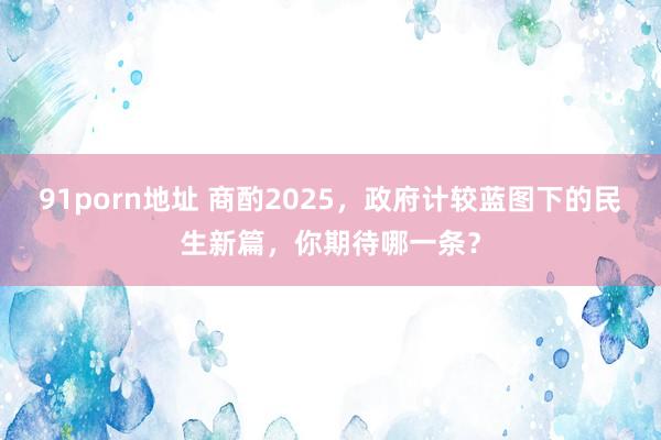 91porn地址 商酌2025，政府计较蓝图下的民生新篇，你期待哪一条？