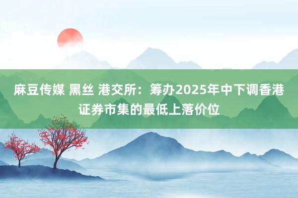 麻豆传媒 黑丝 港交所：筹办2025年中下调香港证券市集的最低上落价位