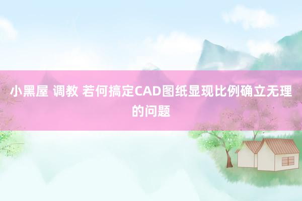 小黑屋 调教 若何搞定CAD图纸显现比例确立无理的问题