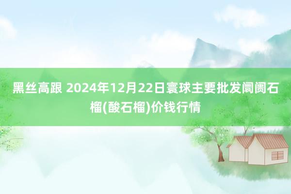 黑丝高跟 2024年12月22日寰球主要批发阛阓石榴(酸石榴)价钱行情