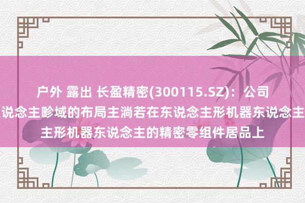 户外 露出 长盈精密(300115.SZ)：公司在东说念主形机器东说念主畛域的布局主淌若在东说念主形机器东说念主的精密零组件居品上