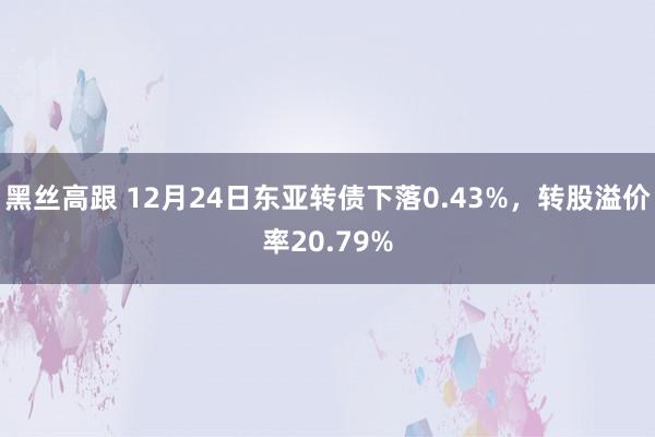 黑丝高跟 12月24日东亚转债下落0.43%，转股溢价率20.79%