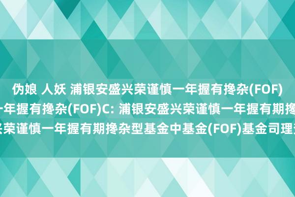 伪娘 人妖 浦银安盛兴荣谨慎一年握有搀杂(FOF)A，浦银安盛兴荣谨慎一年握有搀杂(FOF)C: 浦银安盛兴荣谨慎一年握有期搀杂型基金中基金(FOF)基金司理变更公告