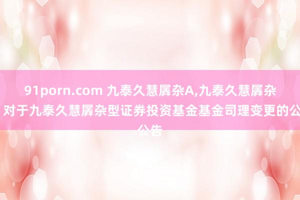 91porn.com 九泰久慧羼杂A，九泰久慧羼杂C: 对于九泰久慧羼杂型证券投资基金基金司理变更的公告