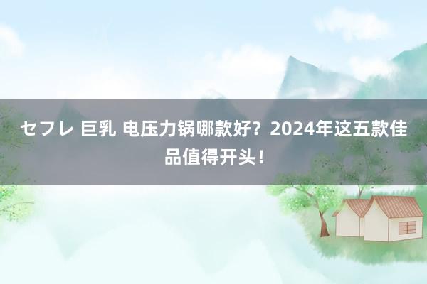 セフレ 巨乳 电压力锅哪款好？2024年这五款佳品值得开头！