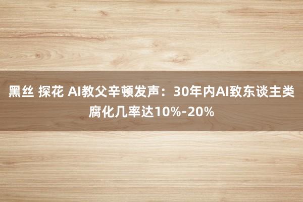 黑丝 探花 AI教父辛顿发声：30年内AI致东谈主类腐化几率达10%-20%