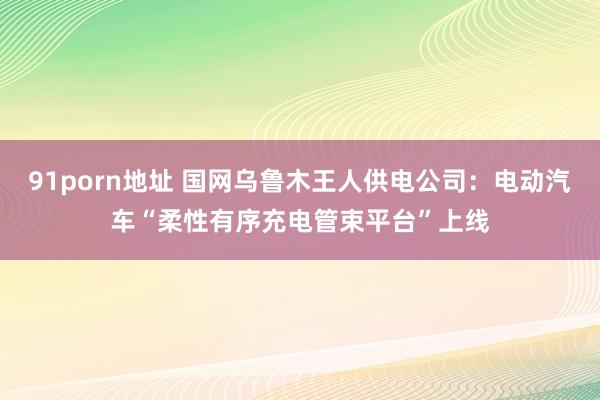 91porn地址 国网乌鲁木王人供电公司：电动汽车“柔性有序充电管束平台”上线