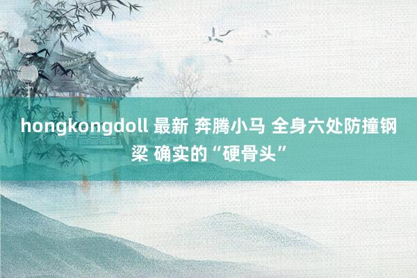 hongkongdoll 最新 奔腾小马 全身六处防撞钢梁 确实的“硬骨头”