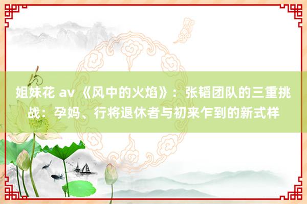 姐妹花 av 《风中的火焰》：张韬团队的三重挑战：孕妈、行将退休者与初来乍到的新式样