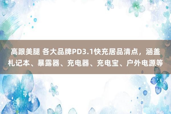 高跟美腿 各大品牌PD3.1快充居品清点，涵盖札记本、暴露器、充电器、充电宝、户外电源等