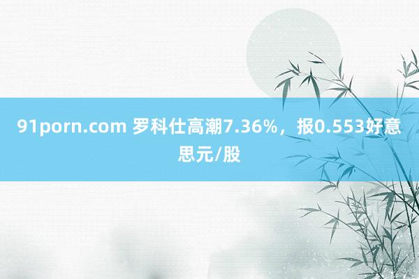 91porn.com 罗科仕高潮7.36%，报0.553好意思元/股