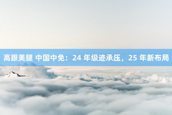 高跟美腿 中国中免：24 年级迹承压，25 年新布局